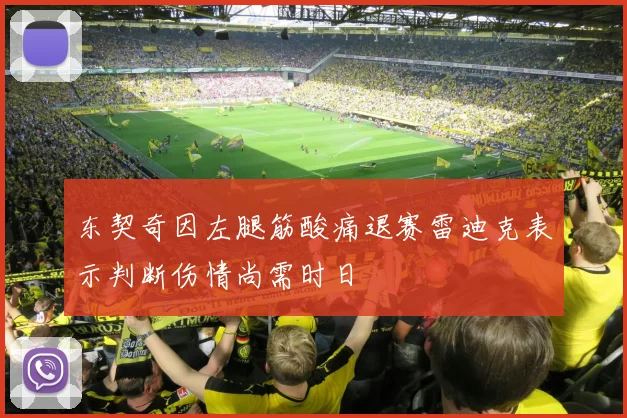 东契奇因左腿筋酸痛退赛雷迪克表示判断伤情尚需时日